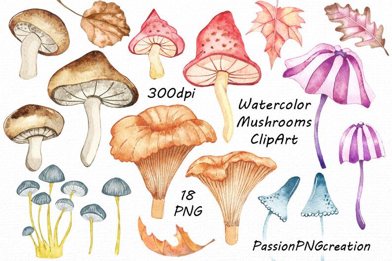 Digital clip art watercolour. Mushrooms clipart watercolor