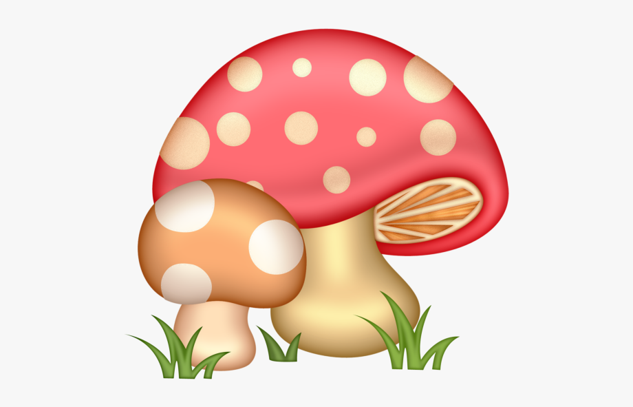 mushrooms clipart woodland mushroom