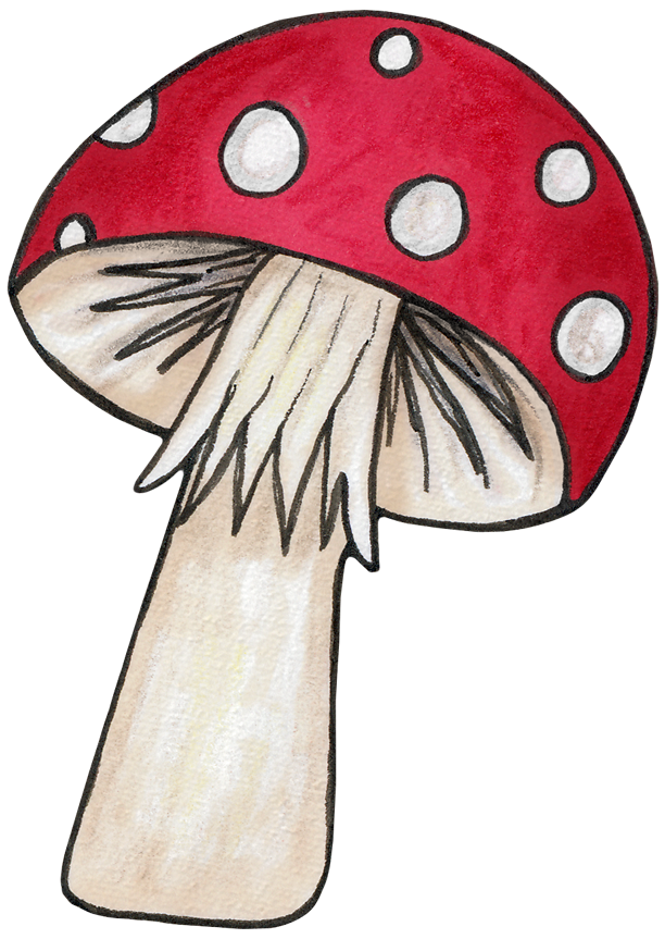 Mushrooms woodland mushroom