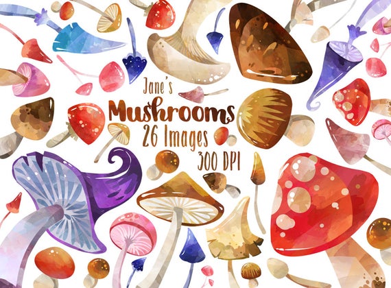 mushrooms clipart woodland mushroom