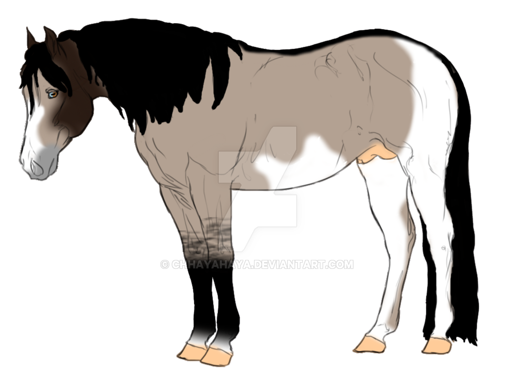 mustang clipart angry horse