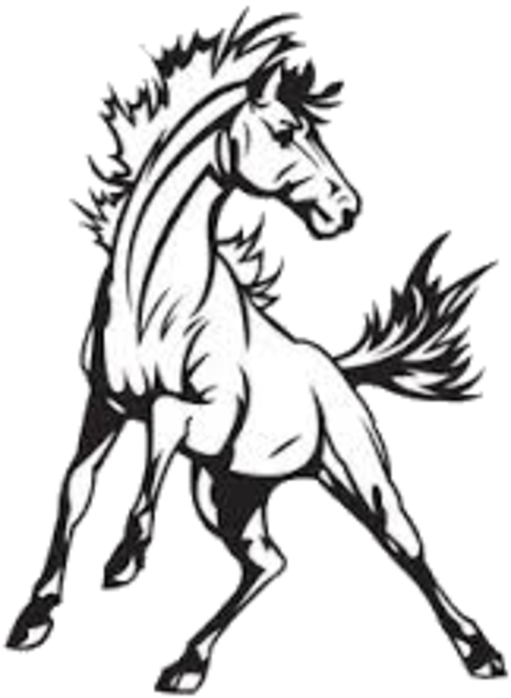 Mustang clipart bronco, Mustang bronco Transparent FREE for download on