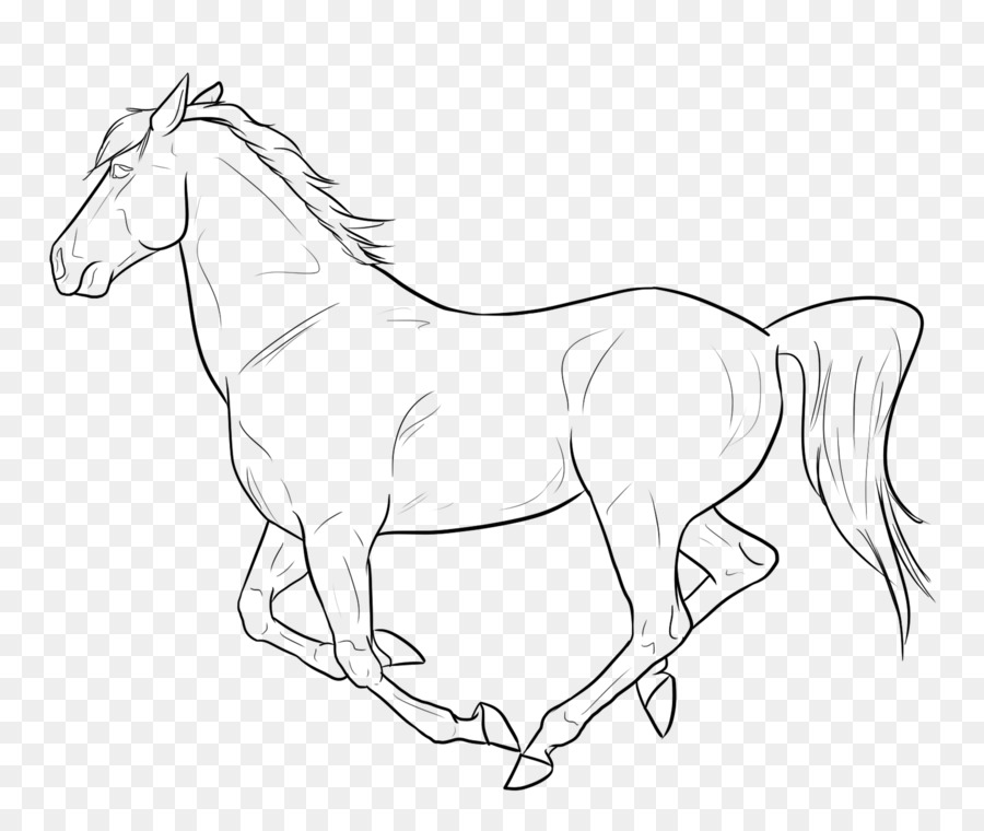 mustang clipart drawing