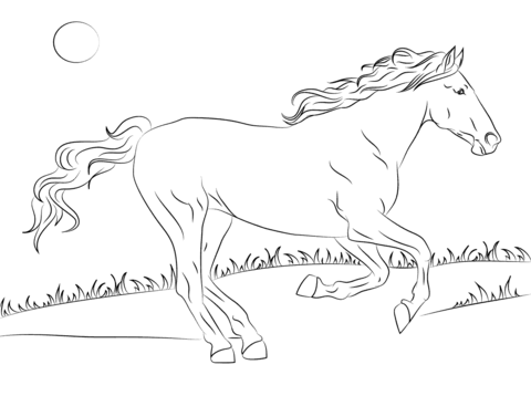 mustang clipart horse coloring