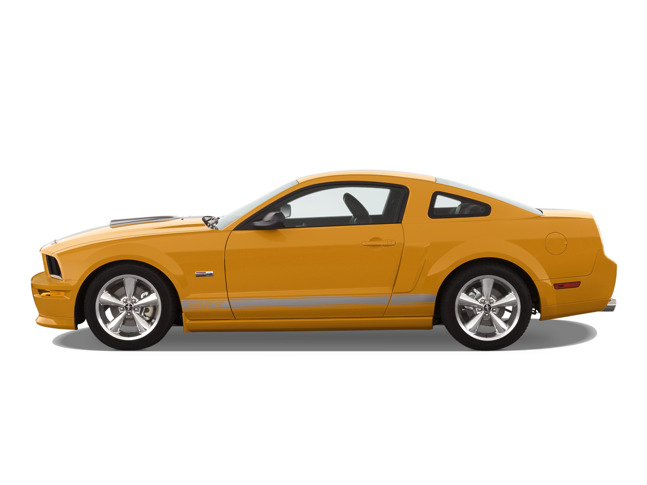 mustang clipart side