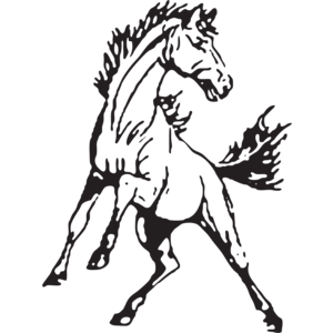 mustang clipart stallion