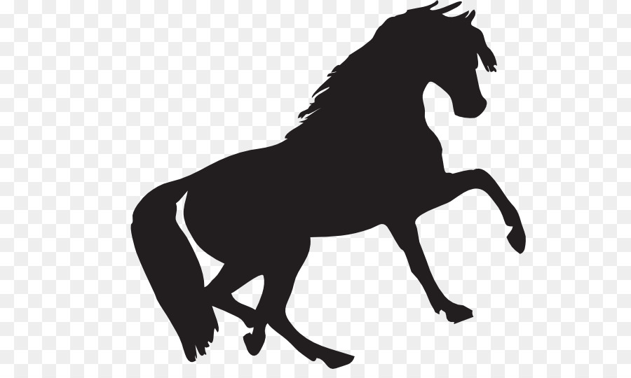 Mustang clipart stallion. Horse cartoon transparent clip