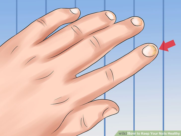 nail clipart clean fingernail