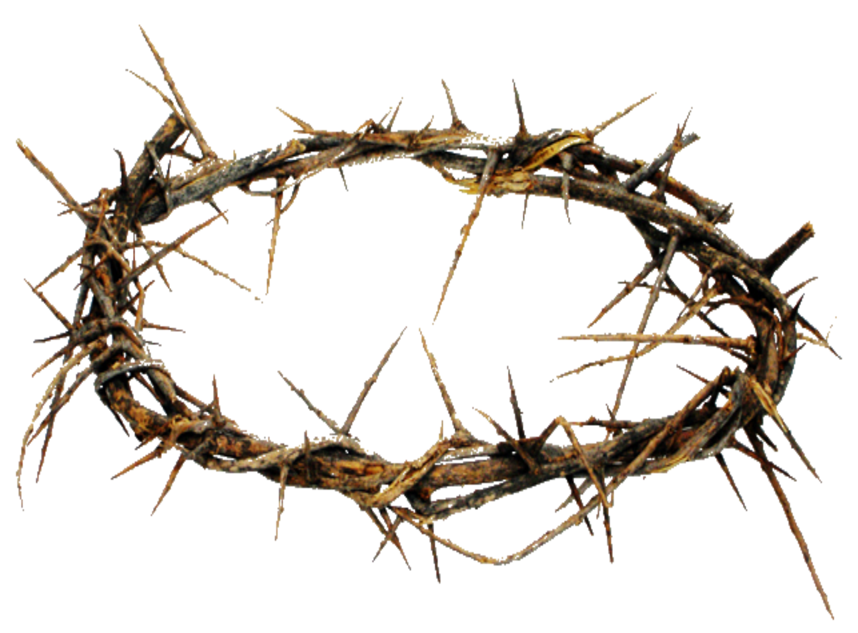 Nail clipart crown thorns. Of png hd transparent