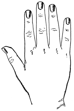 nails clipart sketch