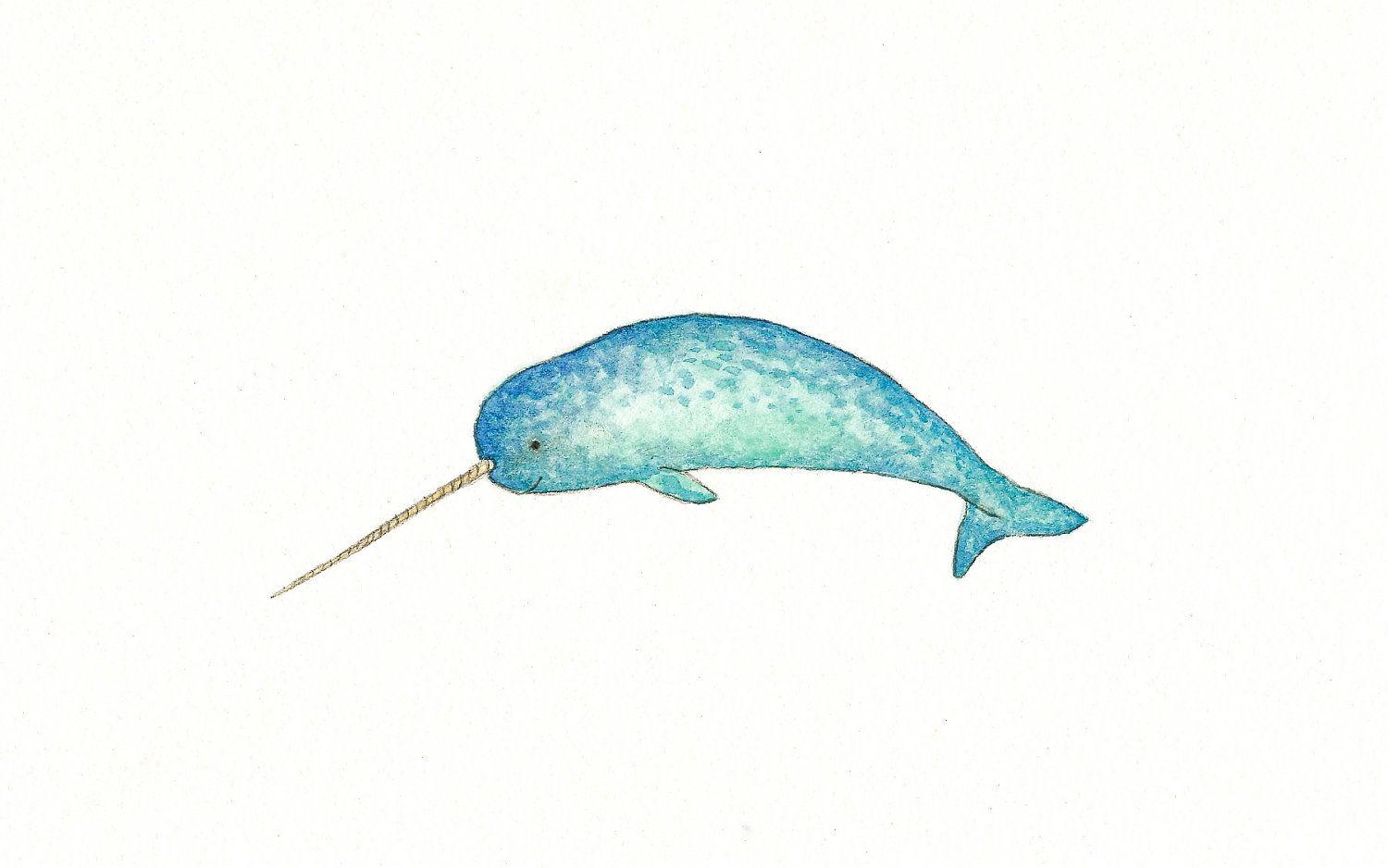 Google search narwal party. Narwhal clipart