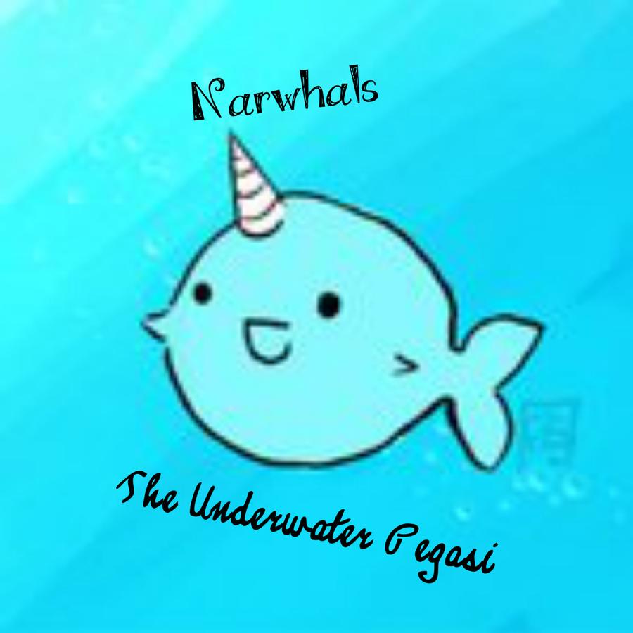 narwhal clipart allie