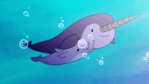 narwhal clipart animation