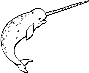 Template ocean cute tattoo. Narwhal clipart black and white