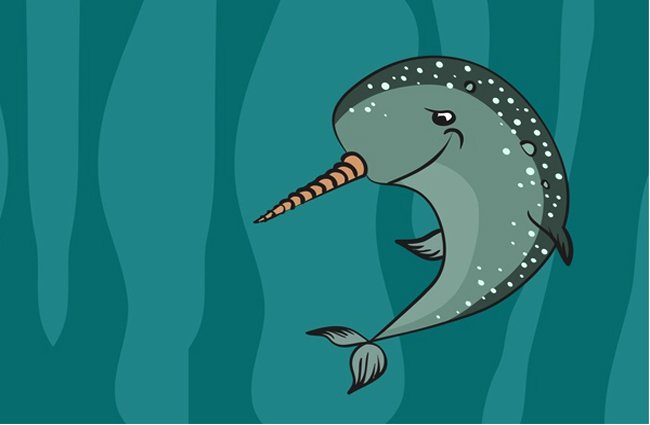 narwhal clipart fact