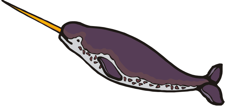 narwhal clipart narwhal whale