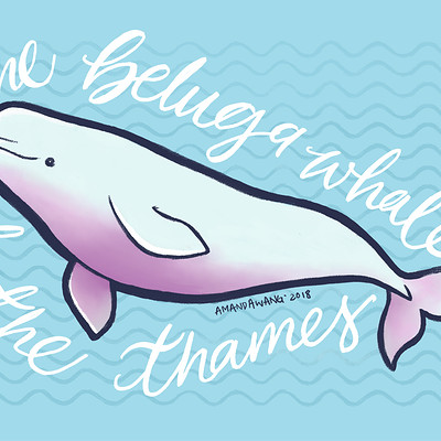narwhal clipart oblyvian