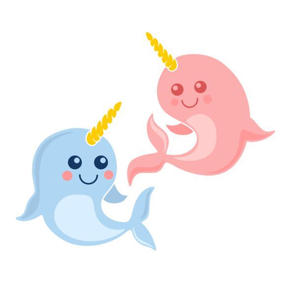 narwhal clipart pink