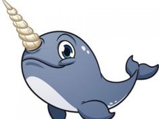 narwhal clipart swag