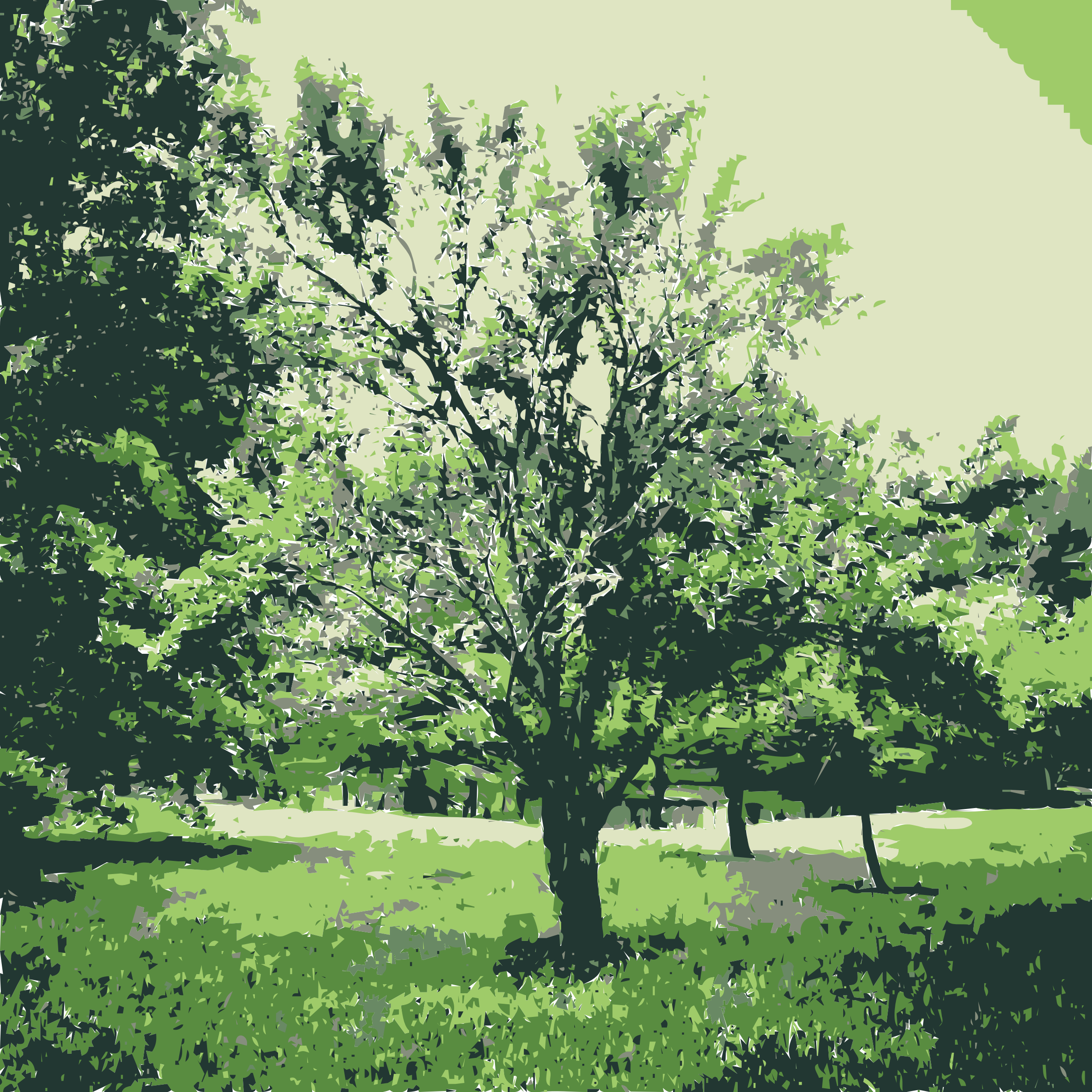 nature clipart green nature