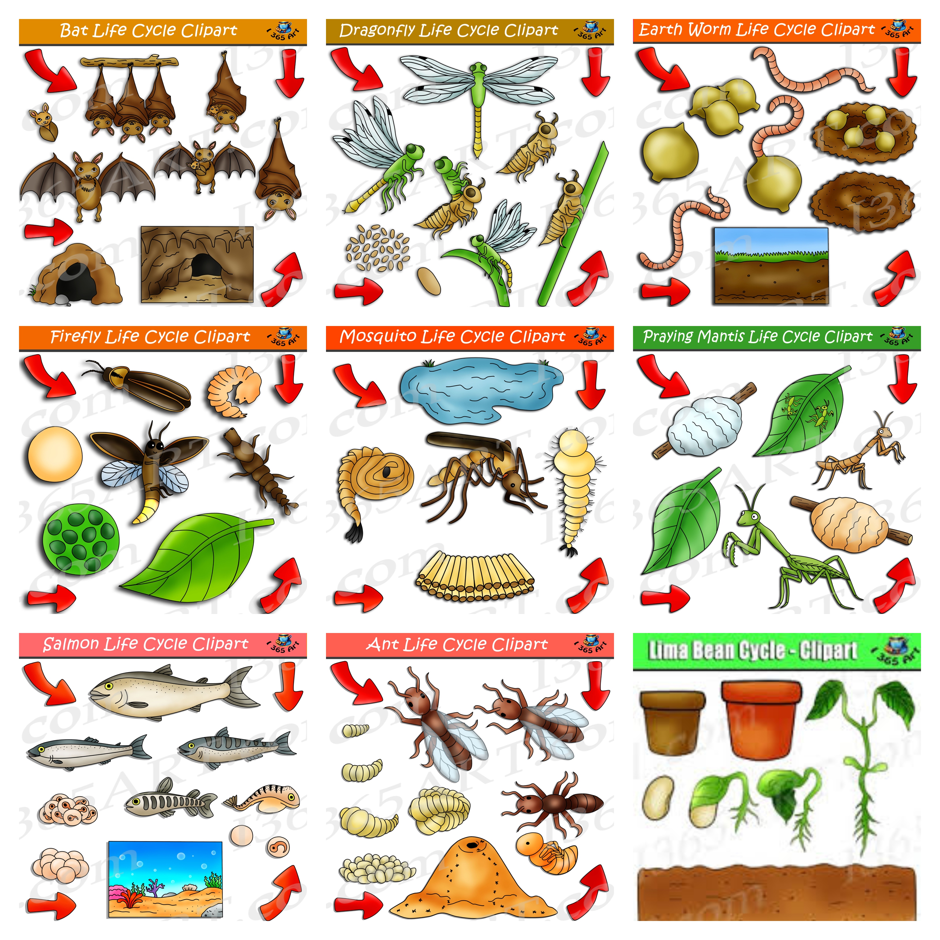 nature clipart life