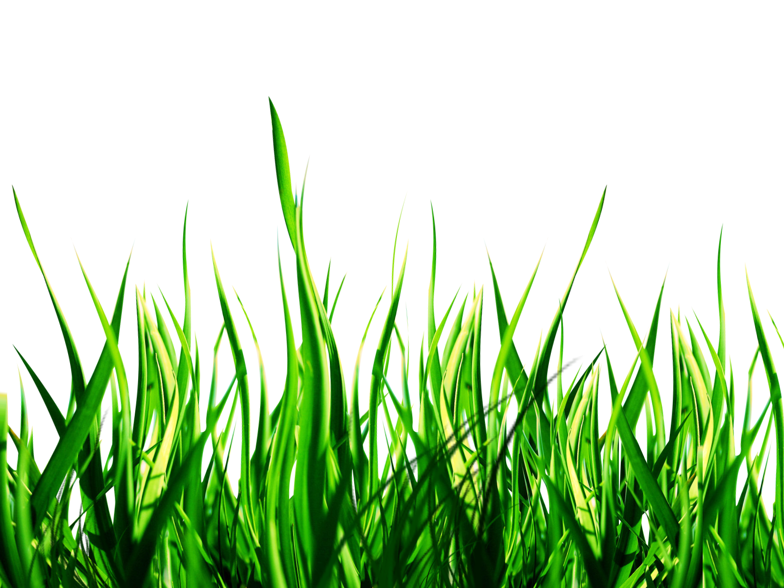 Nature clipart transparent. Free png images download