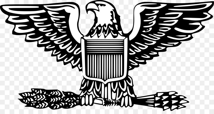 Navy clipart captain navy. Bird line art font