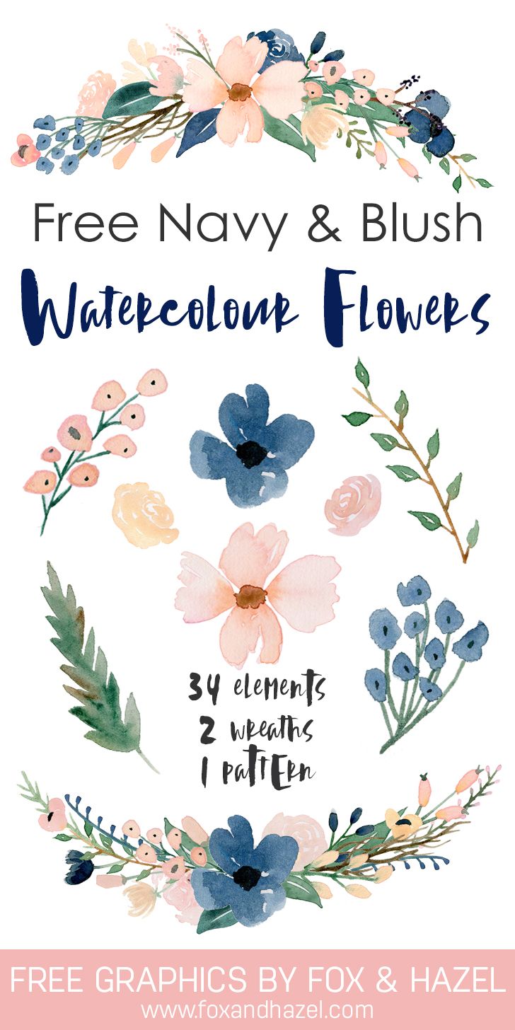 Beautiful free watercolor flowers. Navy clipart printable