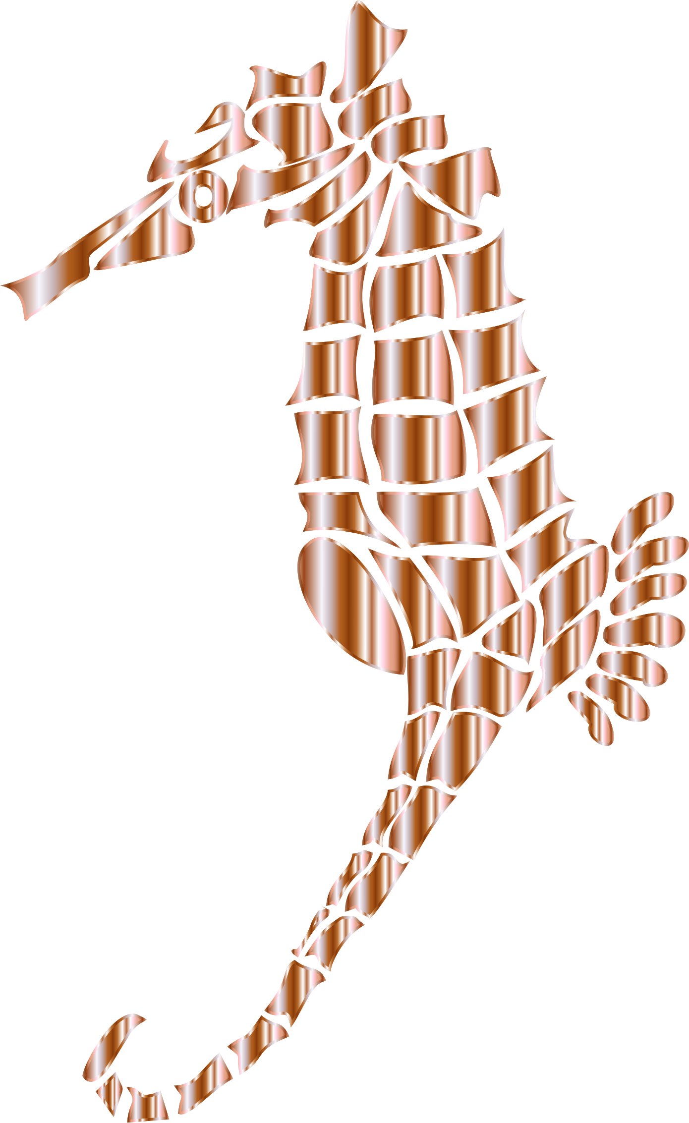 outline clipart seahorse