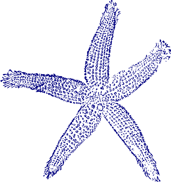 navy clipart starfish
