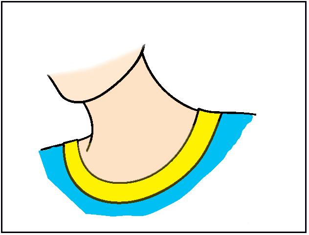 neck clipart