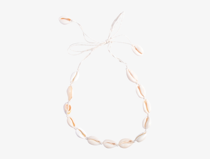 Necklace clipart necklace shell. Womens necklaces choker transparent