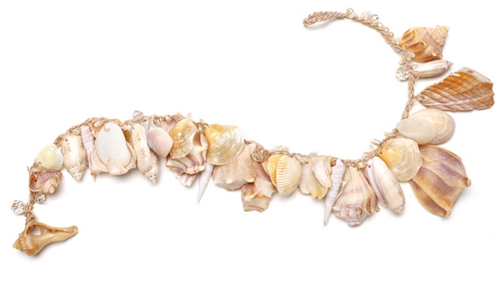 necklace clipart seashell necklace