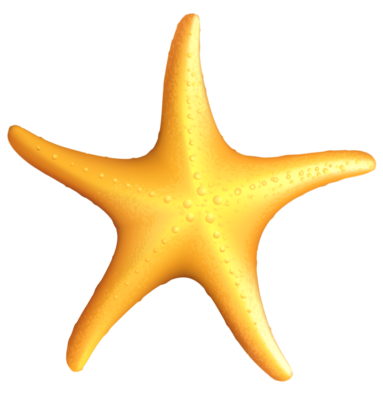 starfish clipart ocean bubble