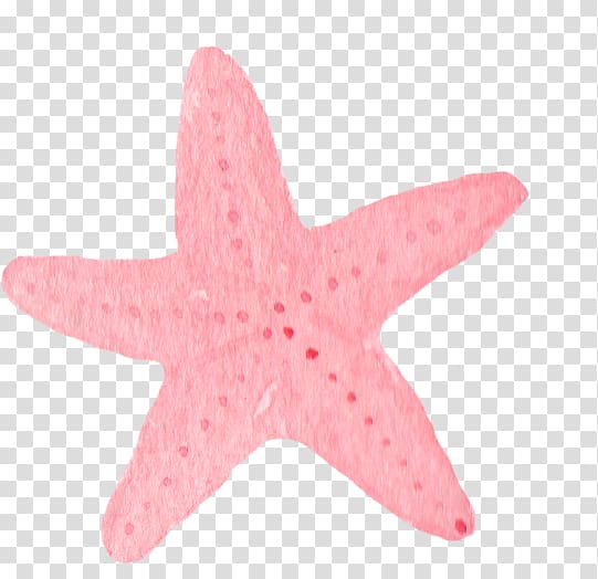 nemo clipart pink starfish