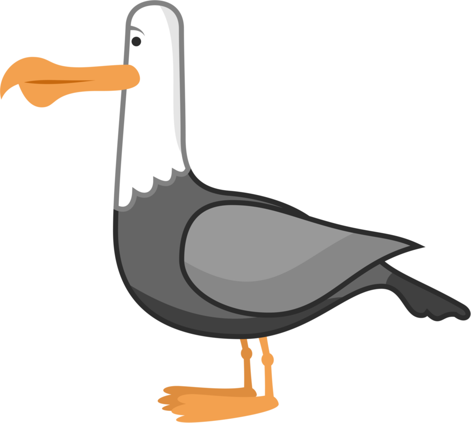 Nemo clipart seagulls, Nemo seagulls Transparent FREE for download on