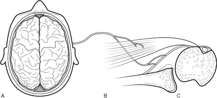 Nervous clipart apprehension. Could be related to