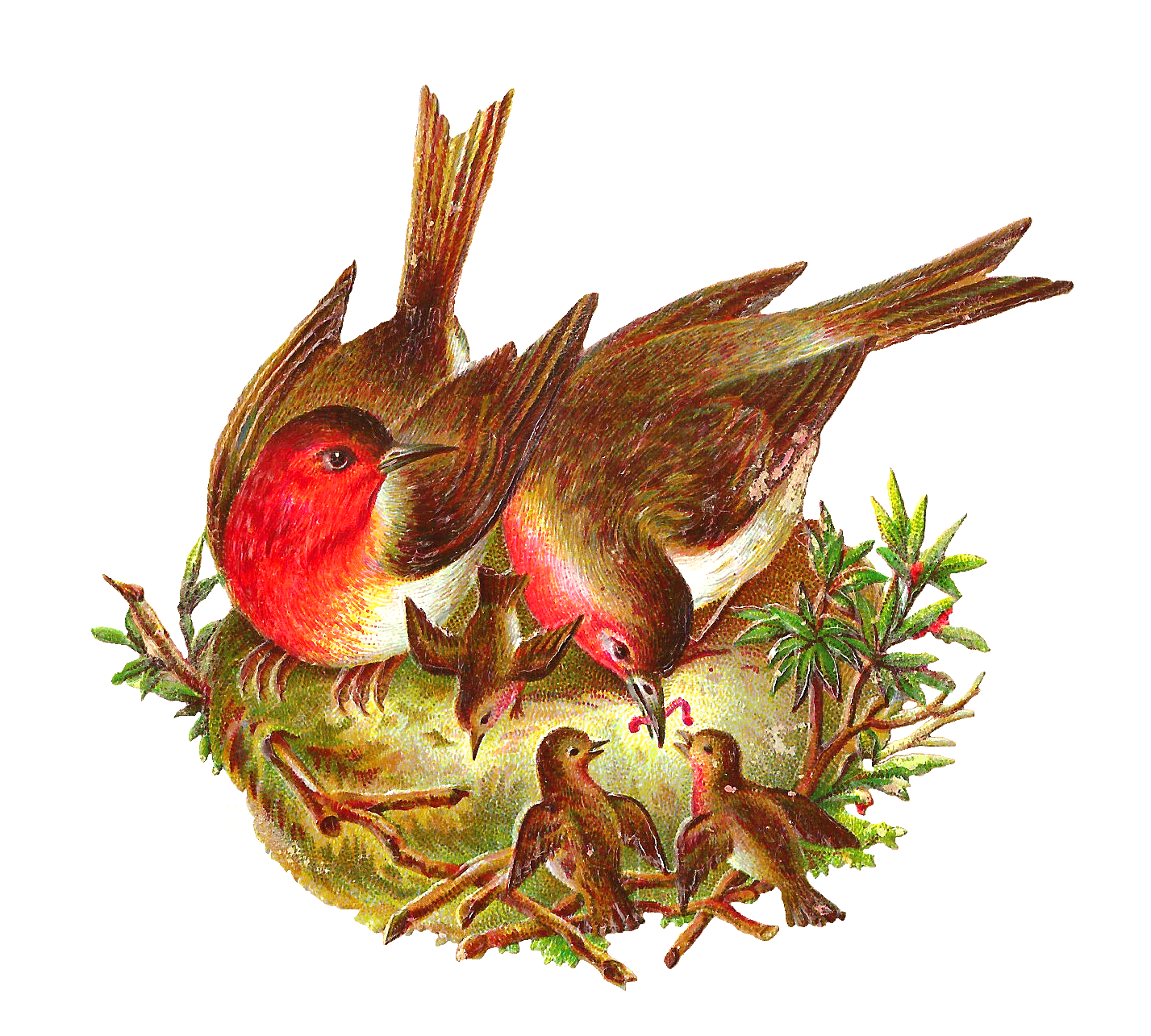 nest clipart bird food