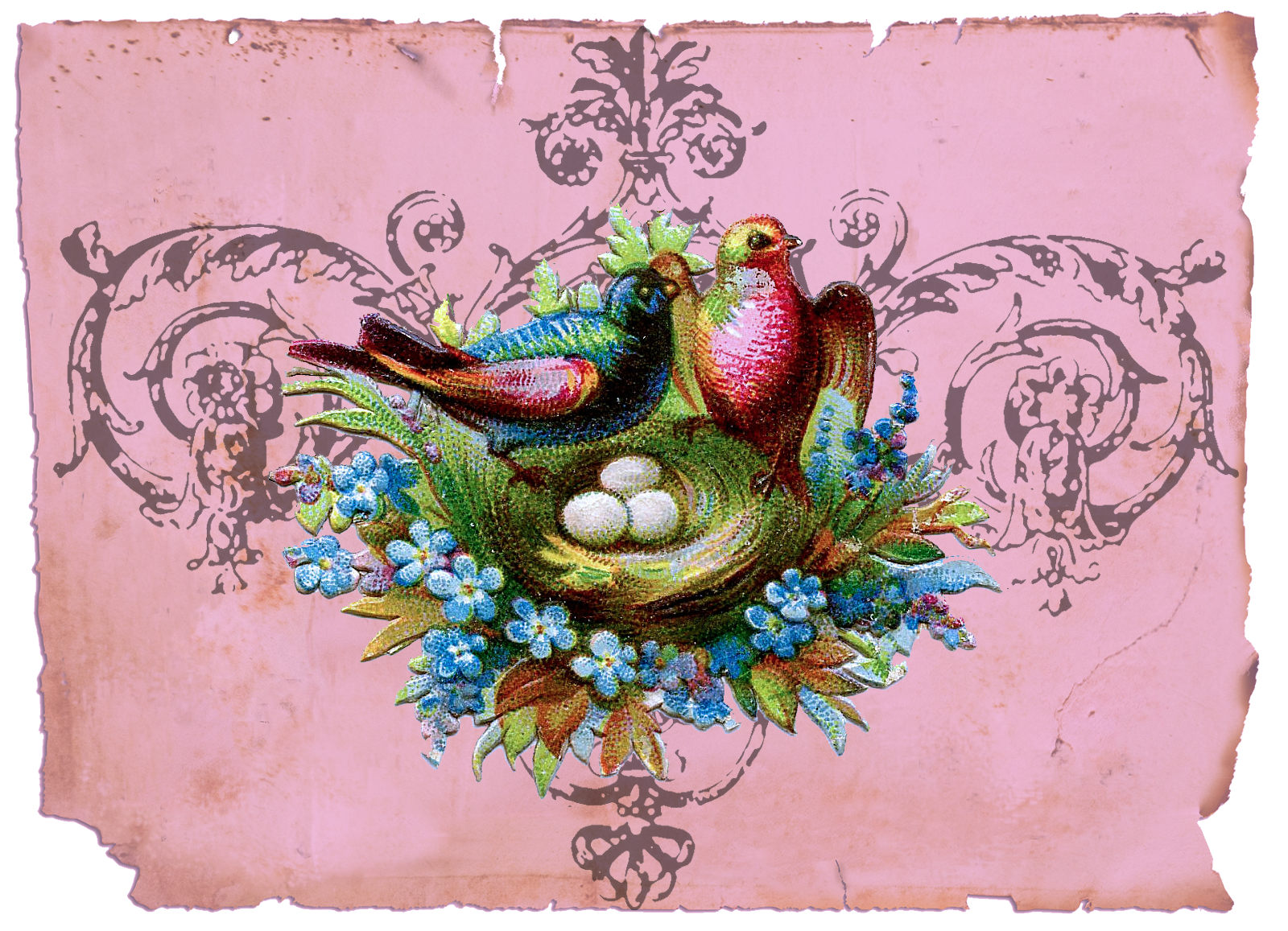Nest clipart bird victorian. Google image result for