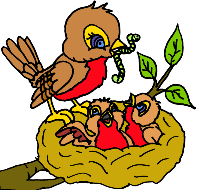 nest clipart bird's nest