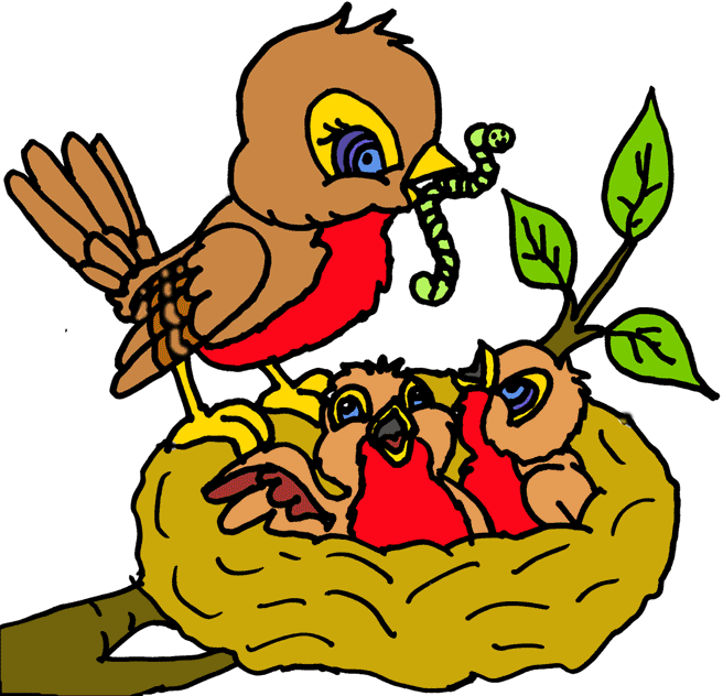 Nest clipart bird's nest, Nest bird's nest Transparent FREE for