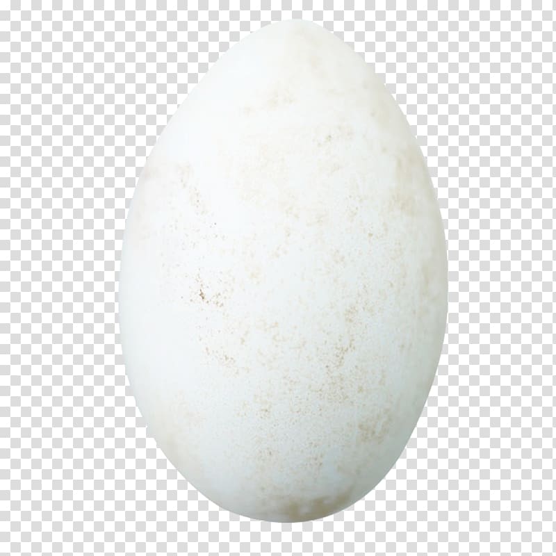 nest clipart goose egg