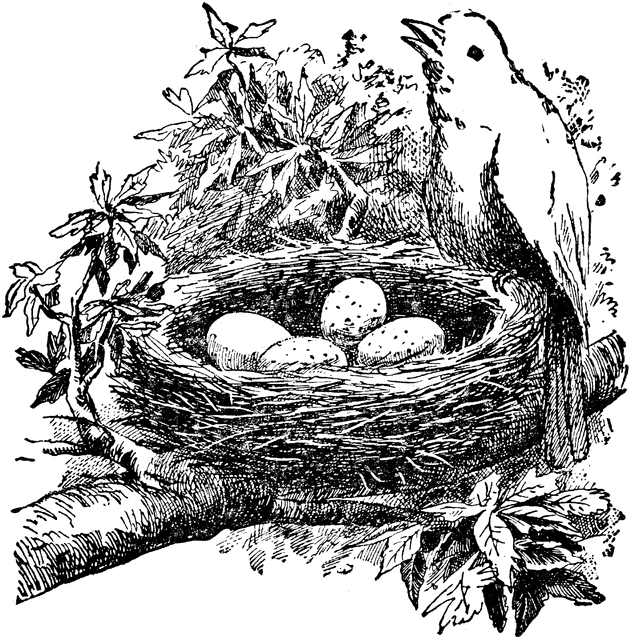 nest clipart nesting