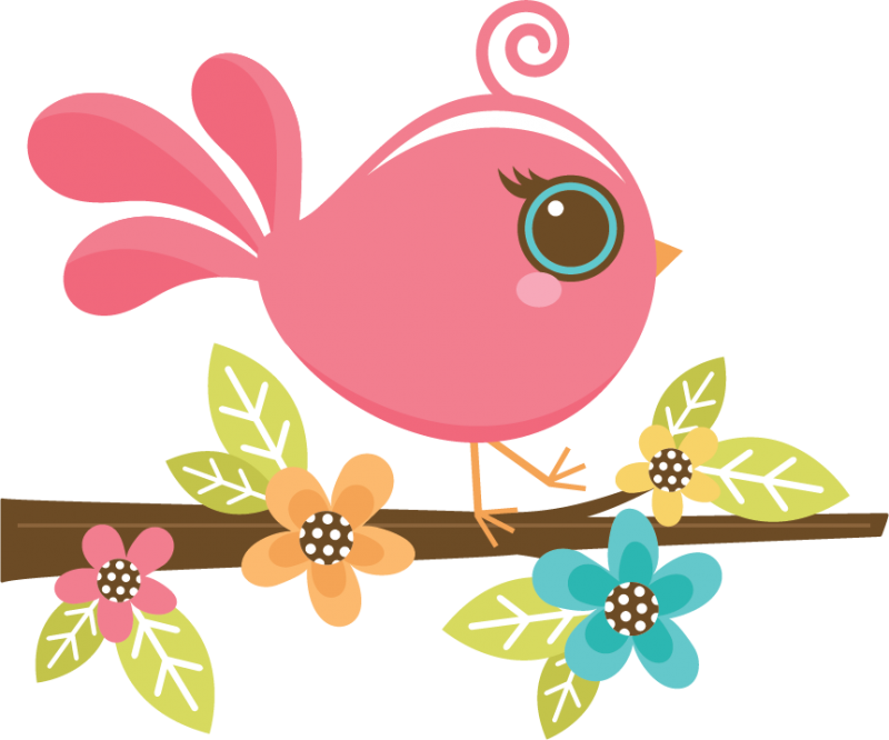 nest clipart pretty bird