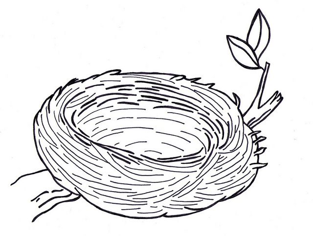 nest clipart sketch bird