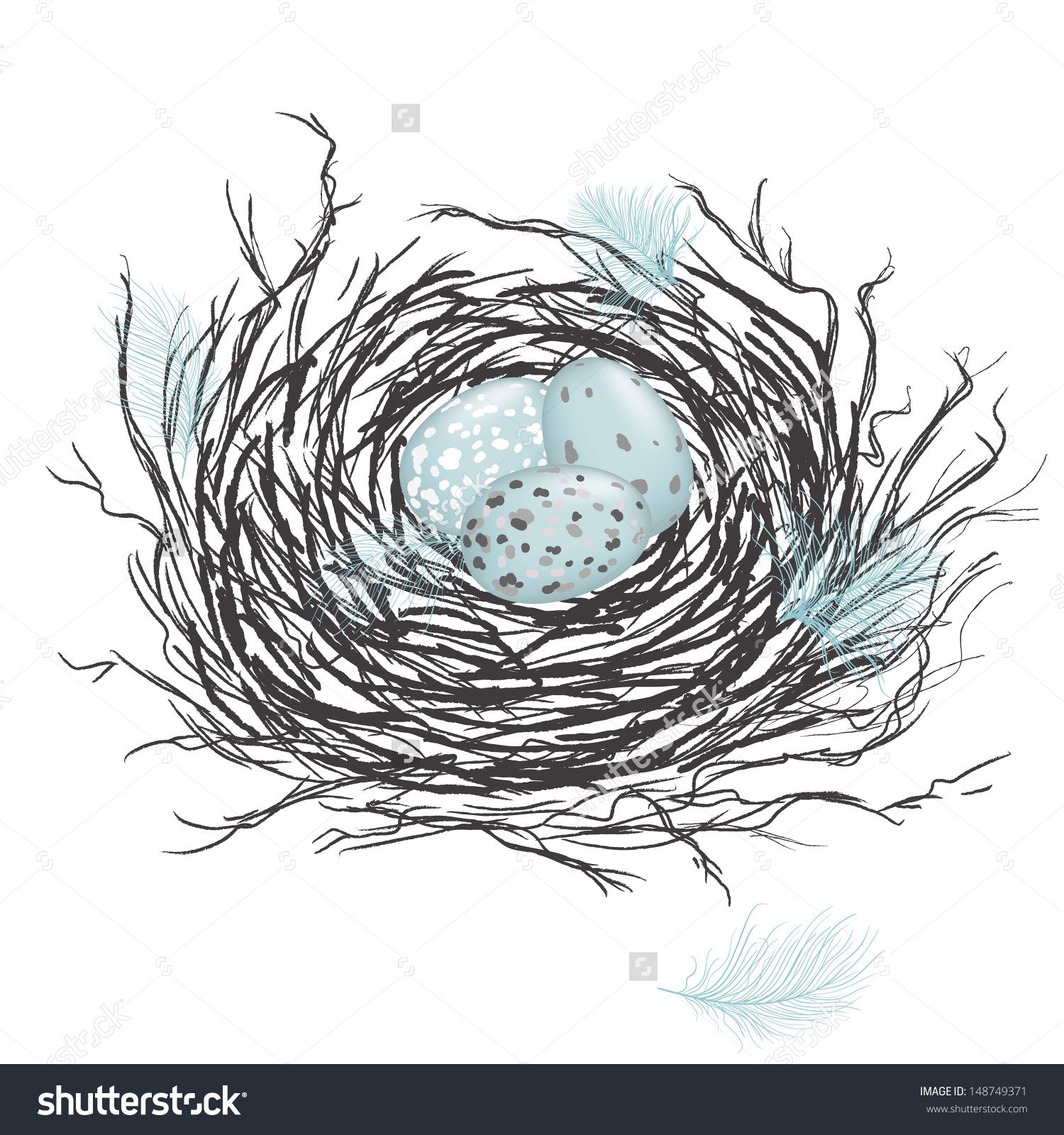 nest clipart speckled egg