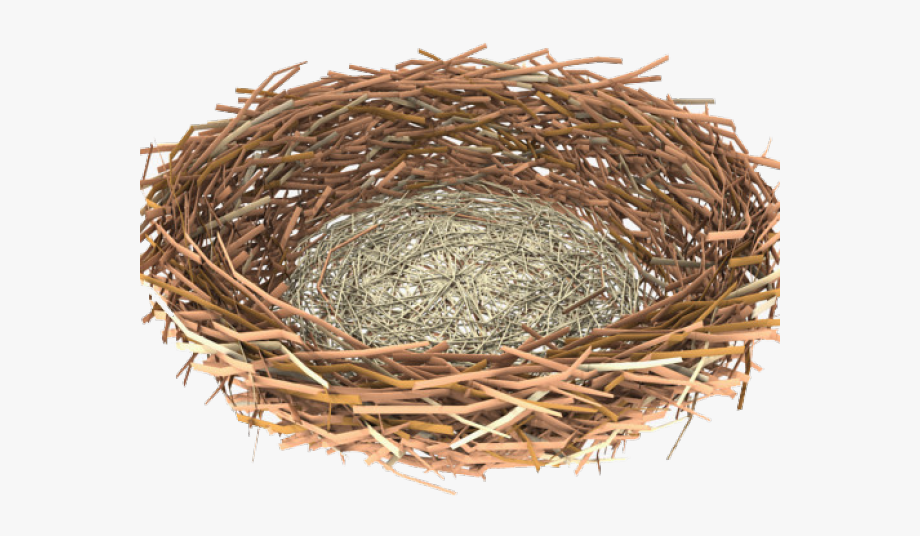 nest clipart transparent background