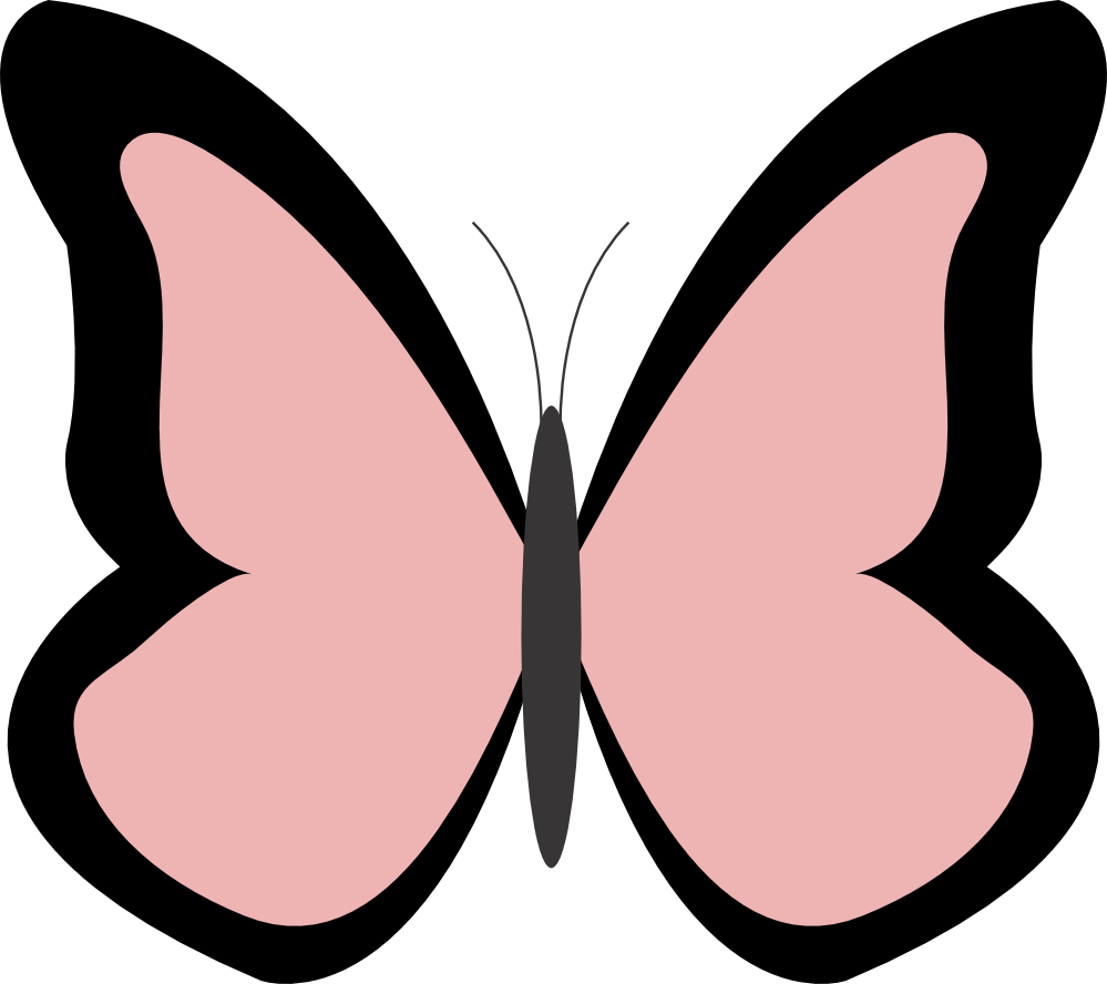 net clipart butterfly