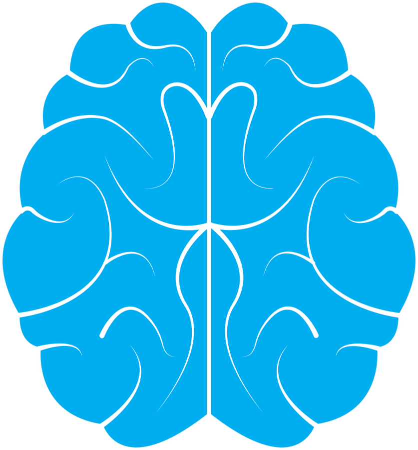 network clipart brain connection