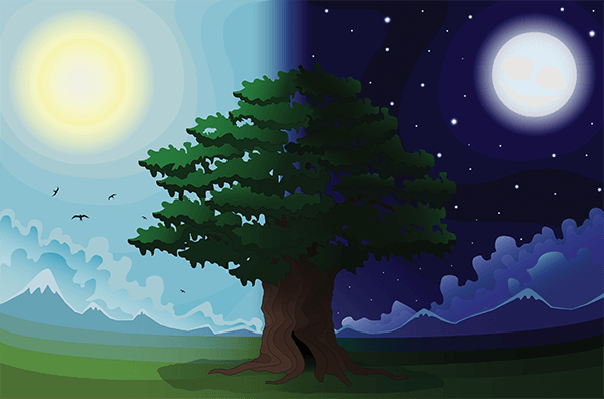 Night clipart night landscape. Day and pbs learningmedia
